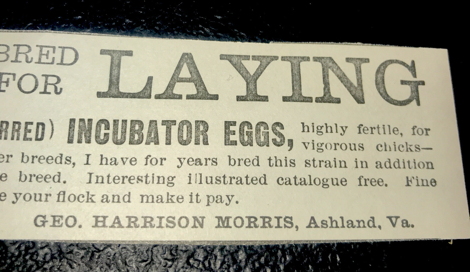 1900 Geo. Harris Morris Chicken Farm Advertising – Ashland – Virginia