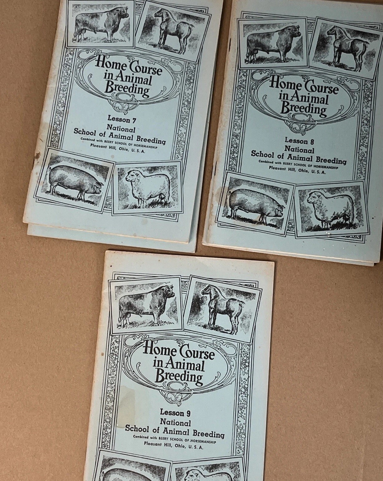Vintage 1961 Beery School Horsemanship Animal Breeding Course – Partial Set