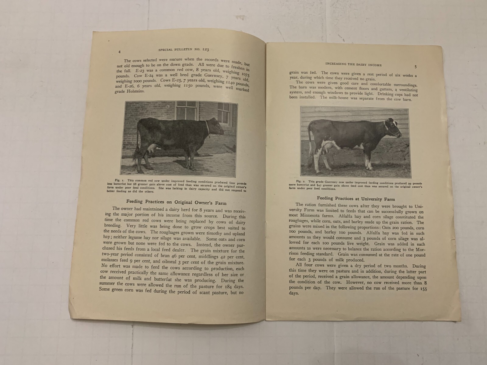 1928 University Of Minnesota Agriculture Increasing The Dairy Income Booklet