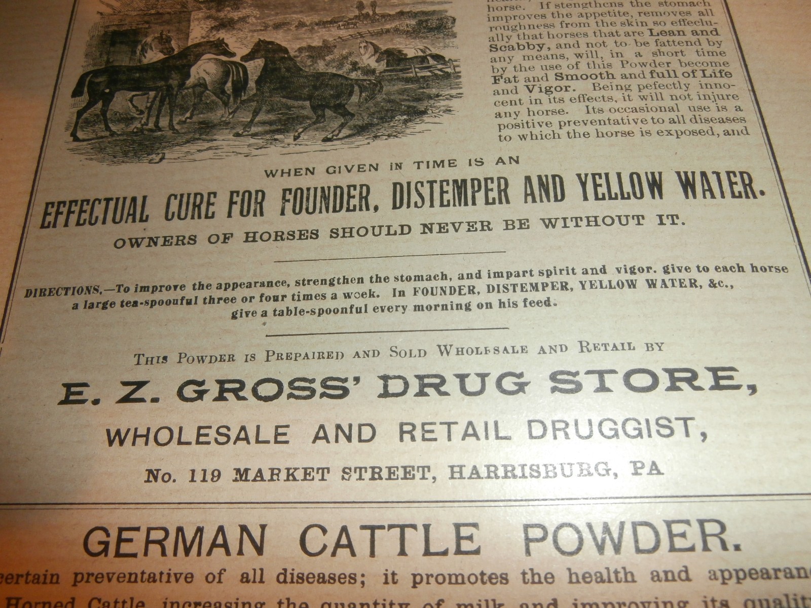 Harrisburg PA E Z Gross Drug Store German Horse Cattle Powder 1800&rsquo;s Paper Ad