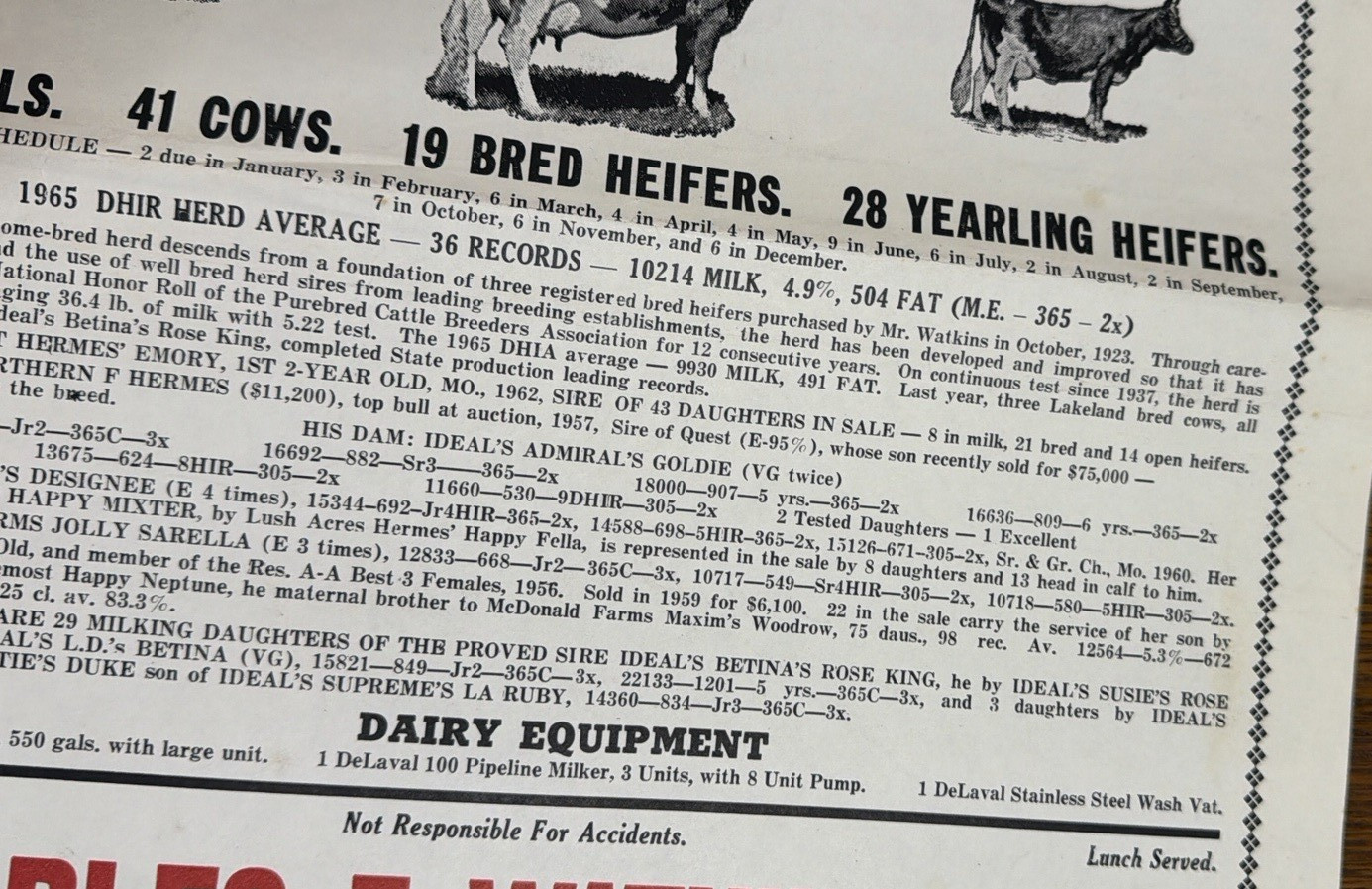 Vintage Auction Poster – GUERNSEY CATTLE & DAIRY IMPLEMENTS 1966 – BELTON, MO