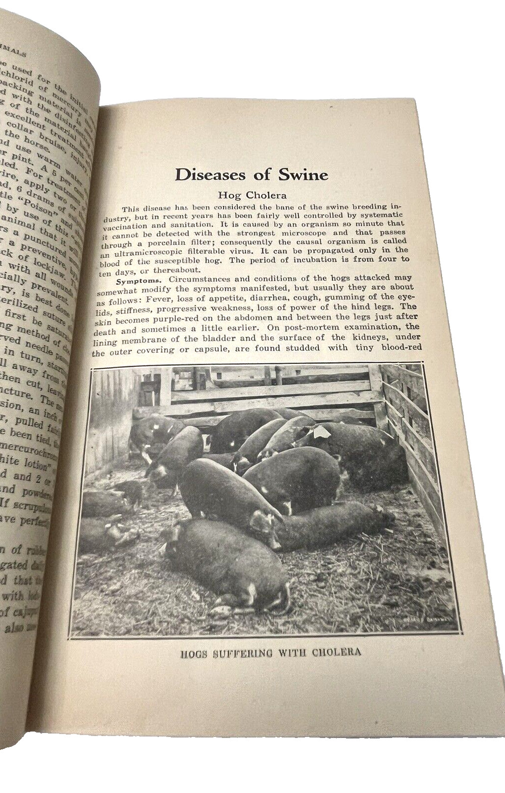 Hoards Booklet LOT Common Ailments Dairyman Feed Guide Farm Animals Cow Pig VTG