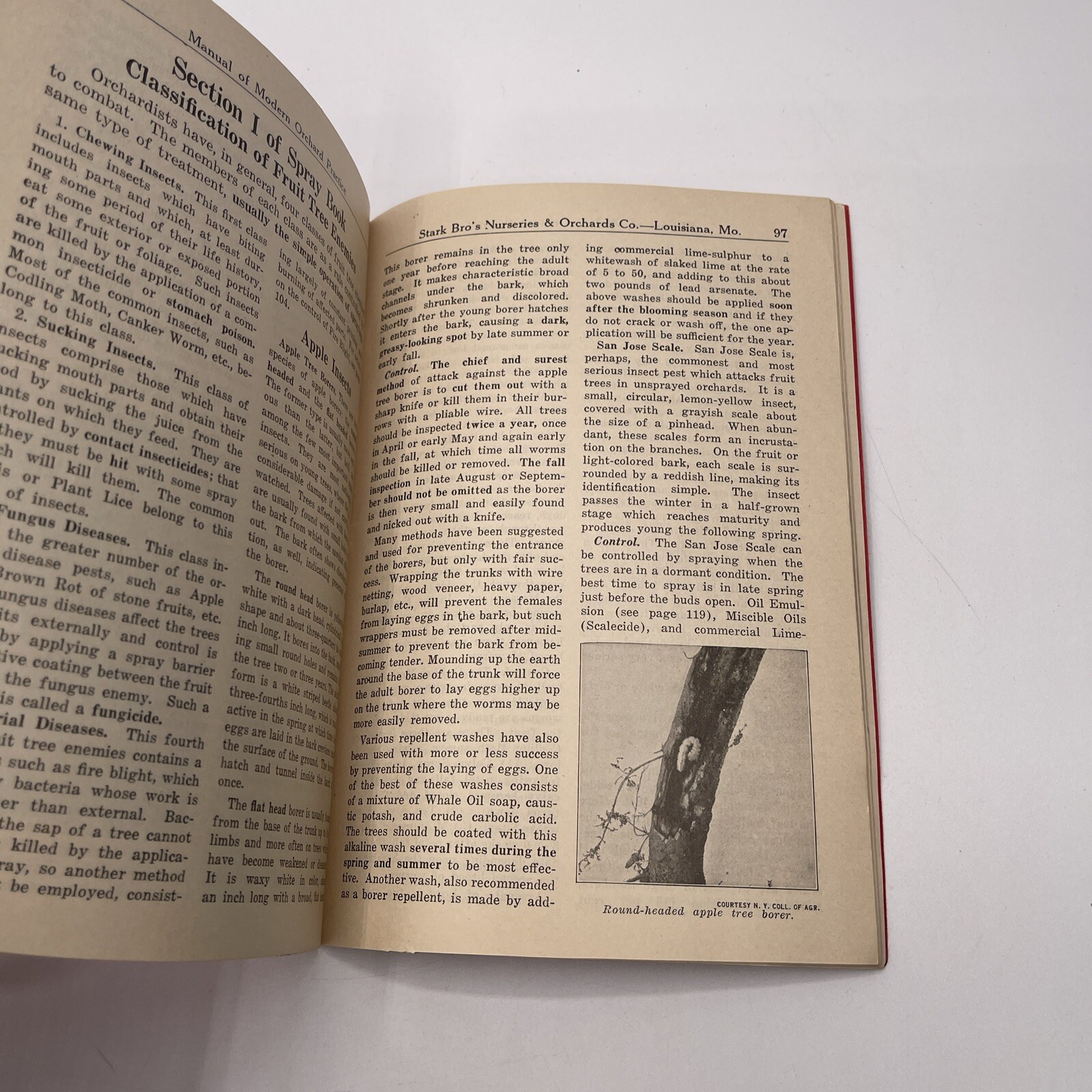 1924 Stark Bro’s Manual Of Modern Orchard Practice