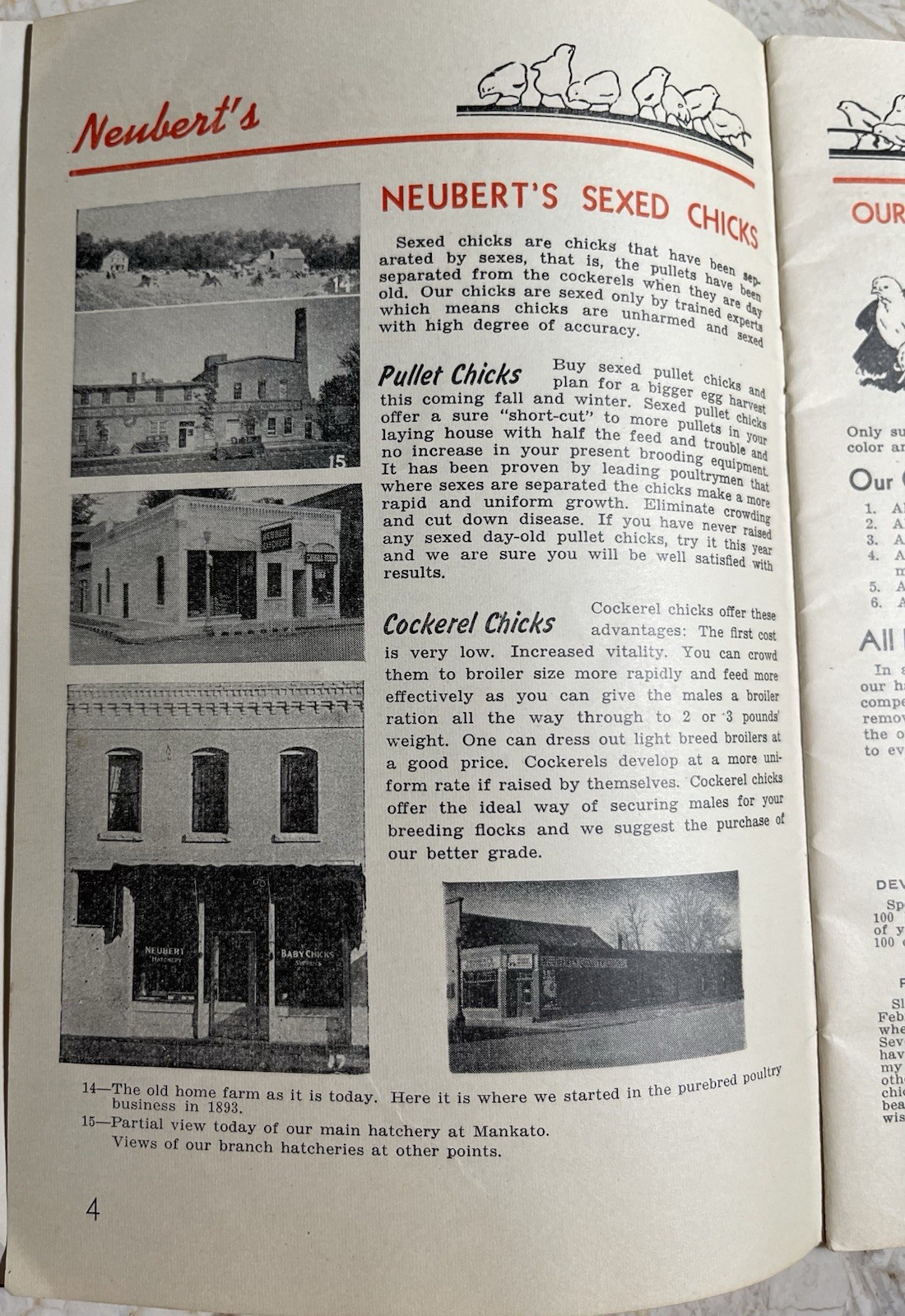 Vintage 1945 Neubert&rsquo;s Neubert Poultry + Supply Catalog Mankato MN
