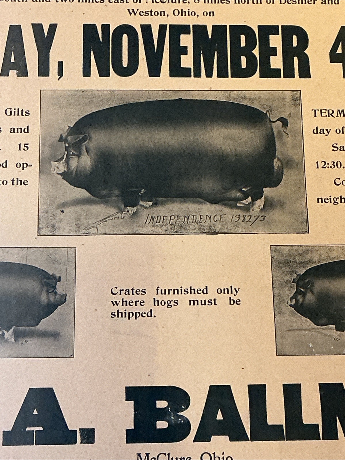 Antique 1910 Original Auction Poster China Hog Public Sale Ohio As Is INV-AC07Y
