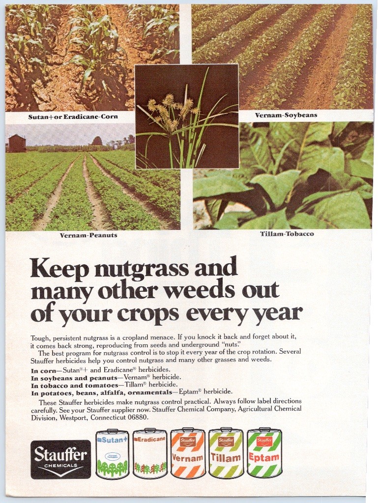 Stauffer Chemicals Nutgrass Herbicide Sutan Vernam Tillam Eptam 1978 Print Ad
