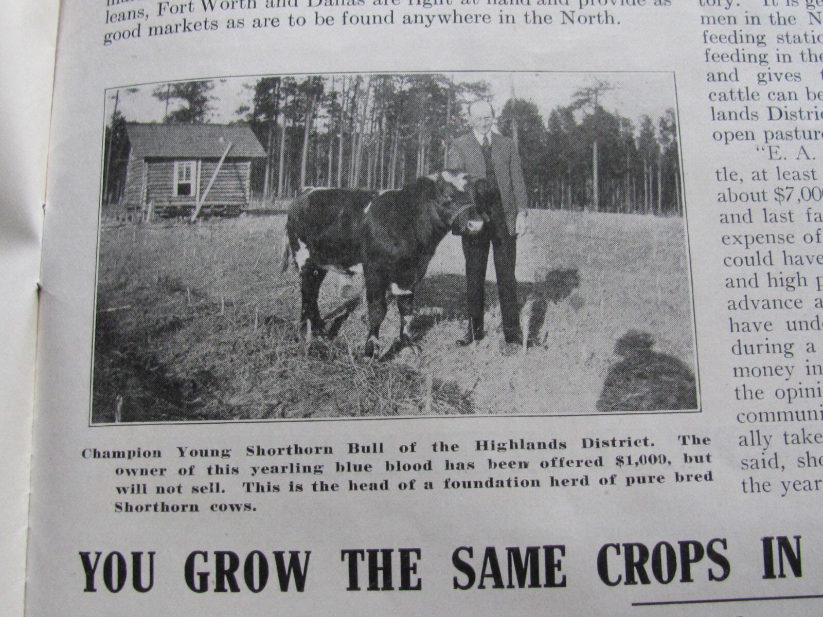 1910&rsquo;S SALE BROCHURE HIGHLANDS LOUISIANA LAND BY LONG BELL FARM LAND CORP