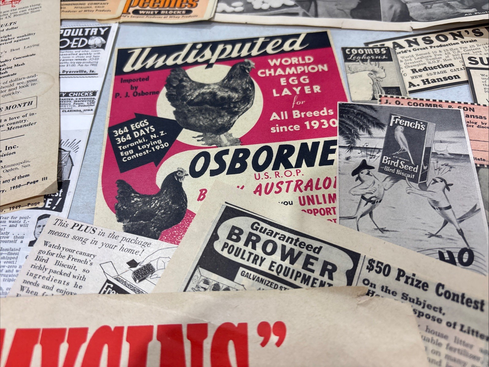 Lot Of 60 Chicken Poultry Egg Related Magazine Print ads 1930-50s