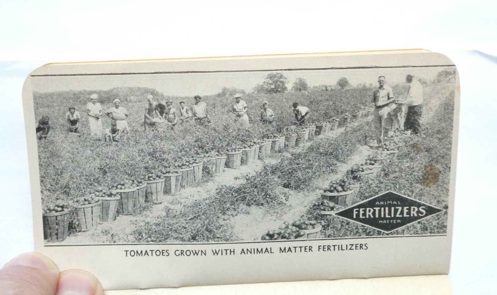 FW Tunnell & Co. Fertilizers 1938 to 1942 4- Farming Notebooks Philadelphia PA