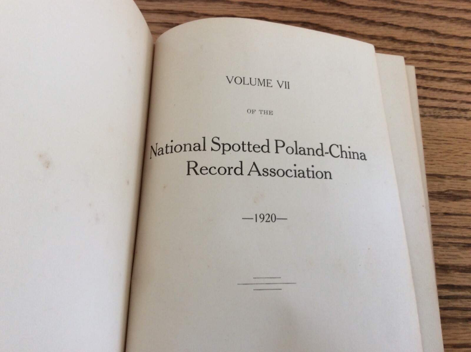 1920 National Spotted Poland-China Record Book #7 Pig Black Swine FAMILY INSIDE?