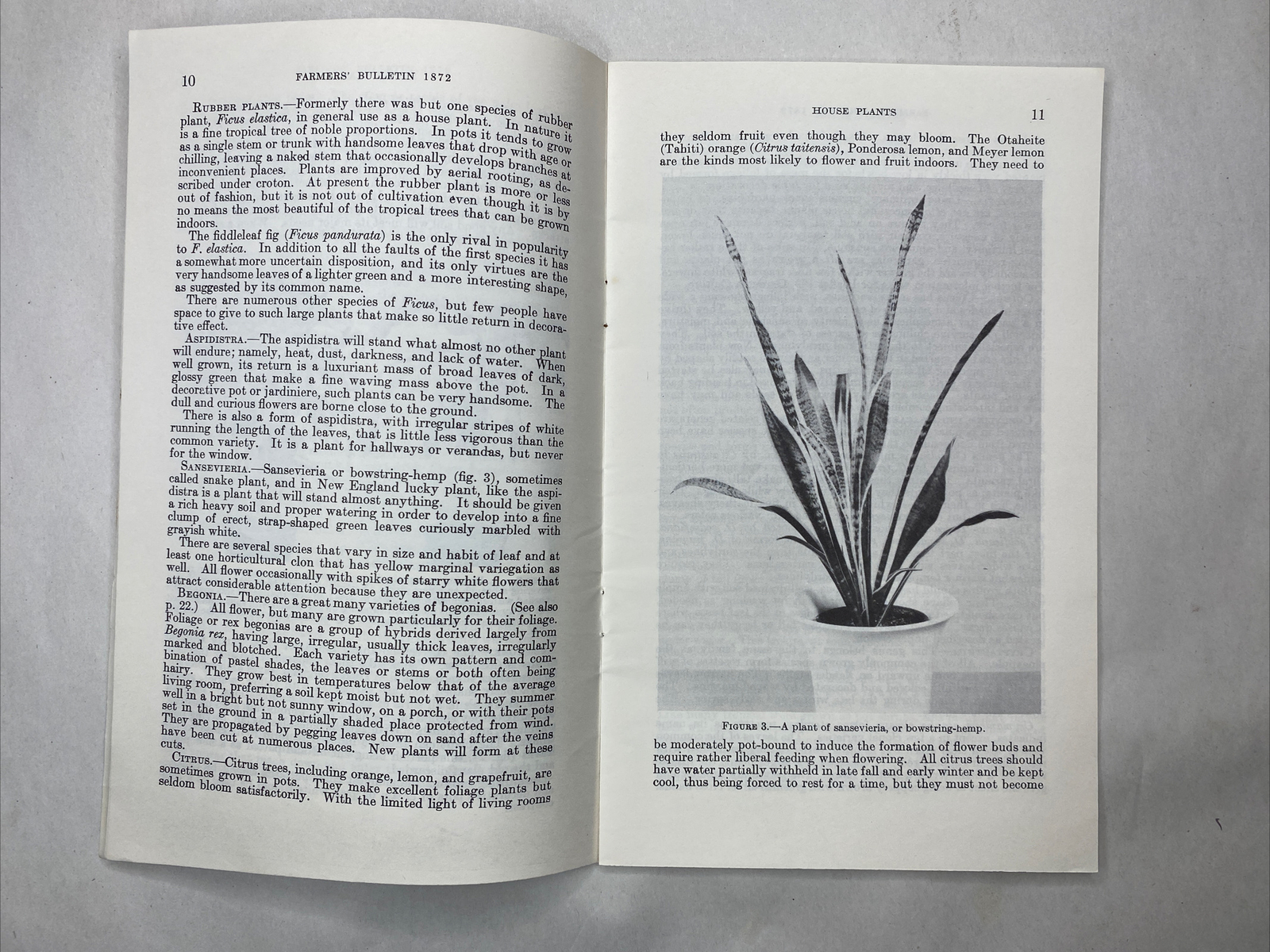 1946 USDA Farmers&rsquo; Bulletin No. 1872 House Plants Furman Lloyd Mulford