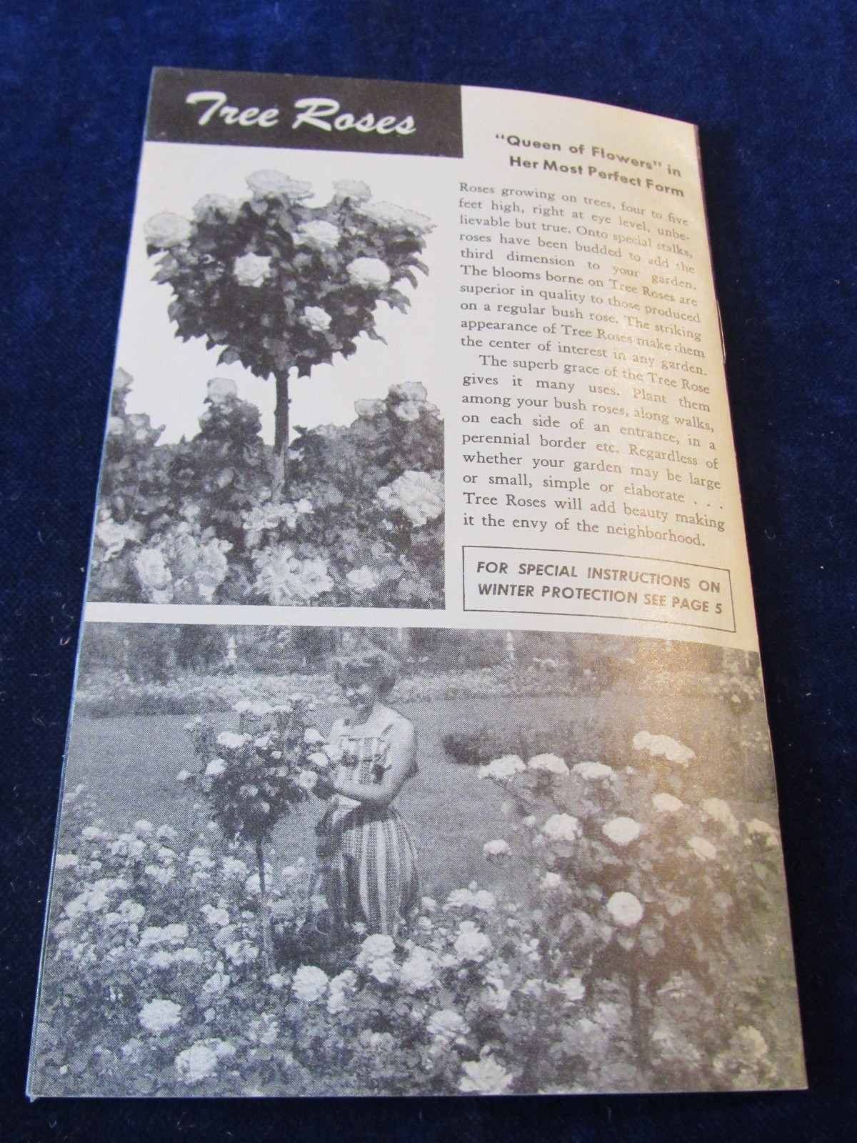 Vintage 1940-1950&rsquo;s Jackson & Perkins Rose Gardening Brochure B439