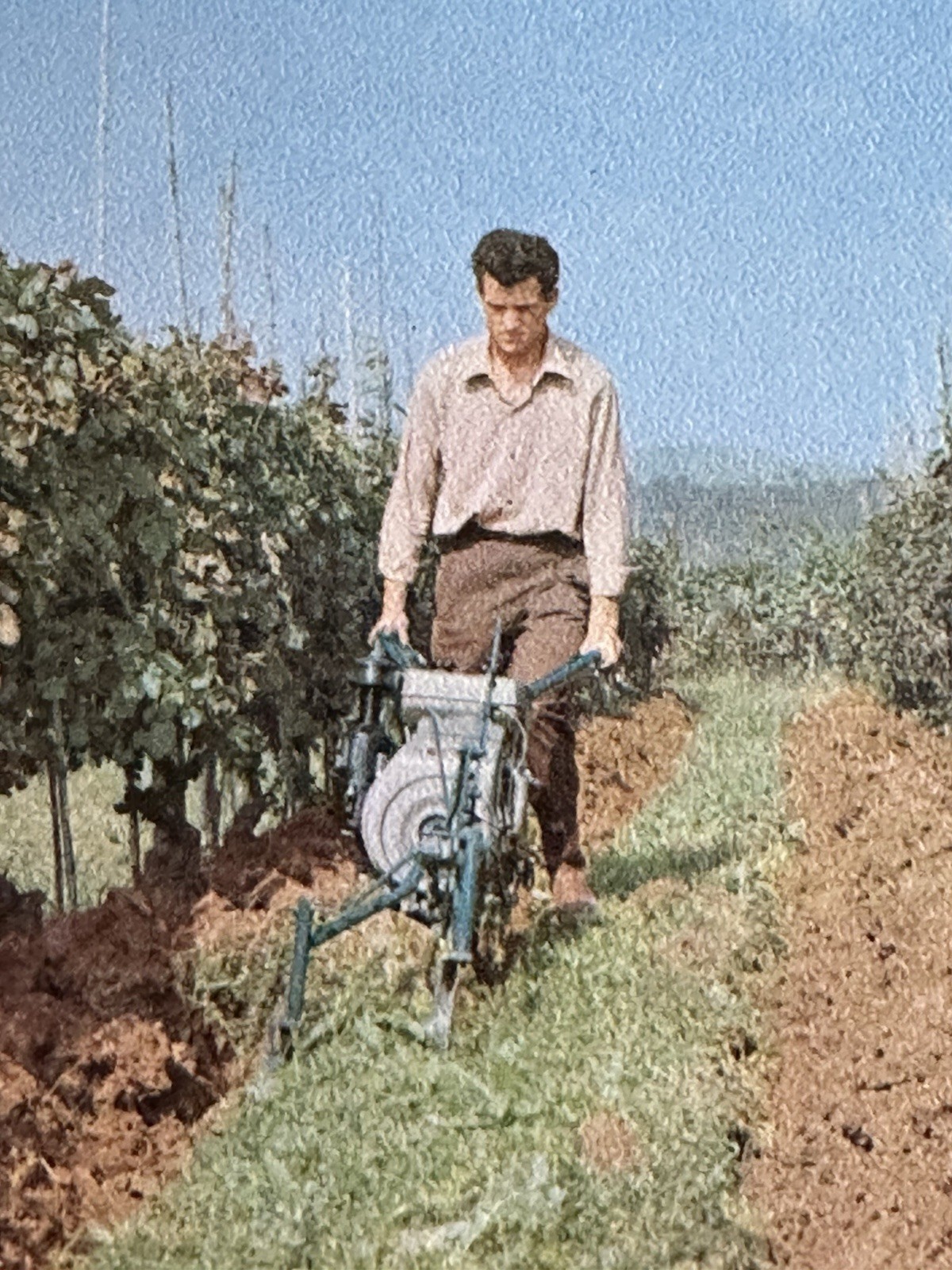 Vintage Casorzo Vigneto Motoaratrice Brochure Vineyard Tractor Catalog