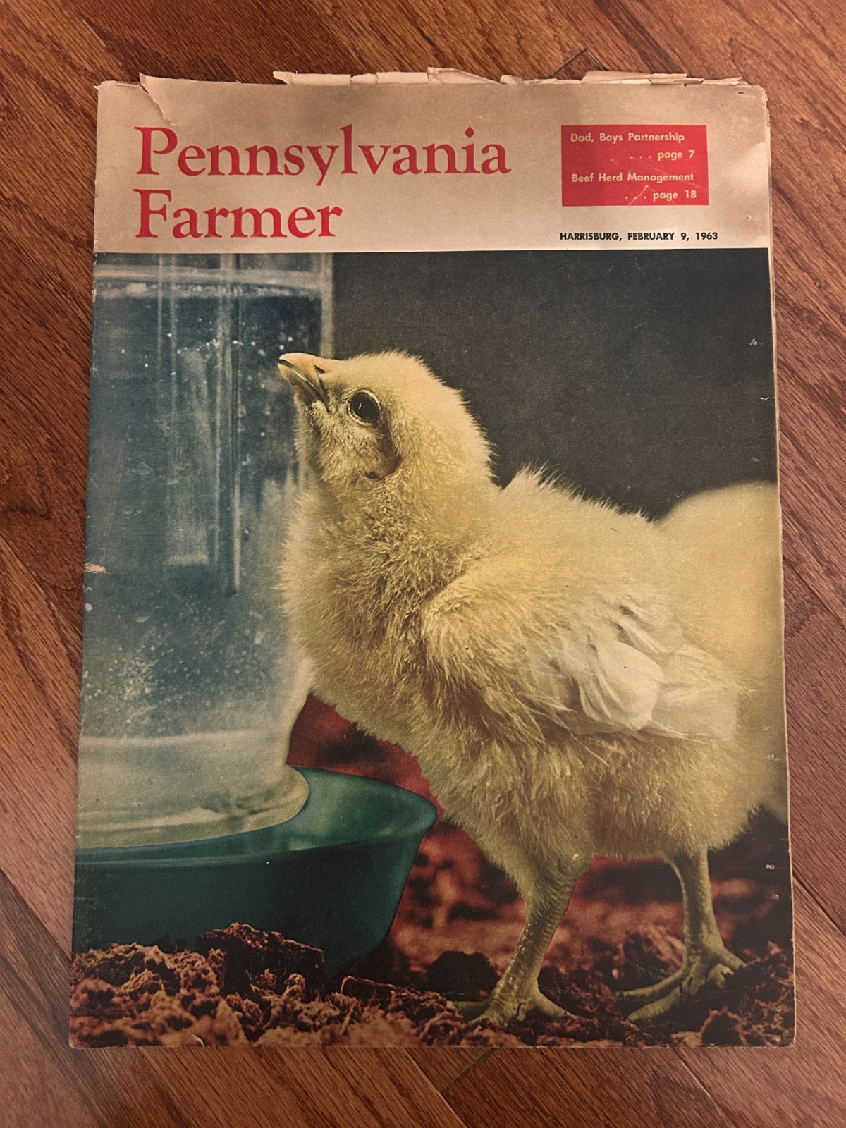 (5) Vintage {1962-1963} « PENNSYLVANIA FARMER » {Harrisburg} Magazine Lot, RARE!