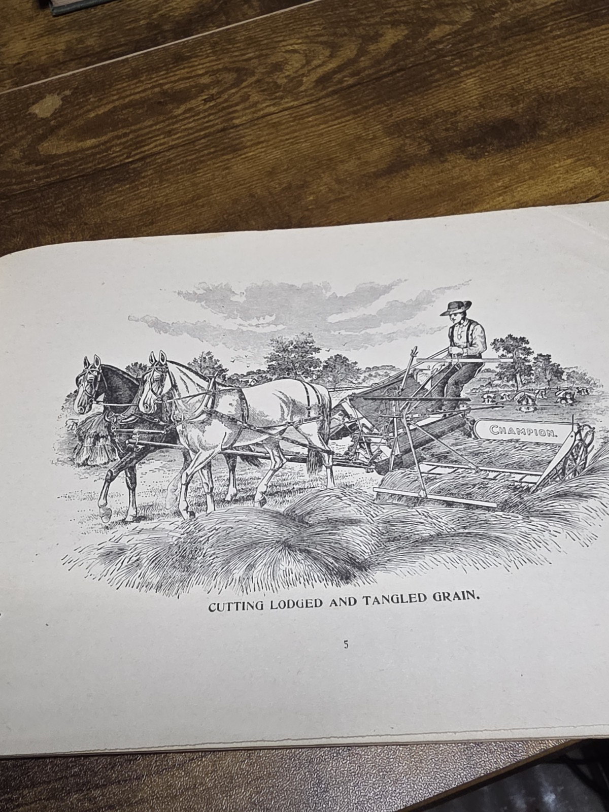 Rare Original 1893 Champion Harvesting Machine Catalog Brochure Springfield