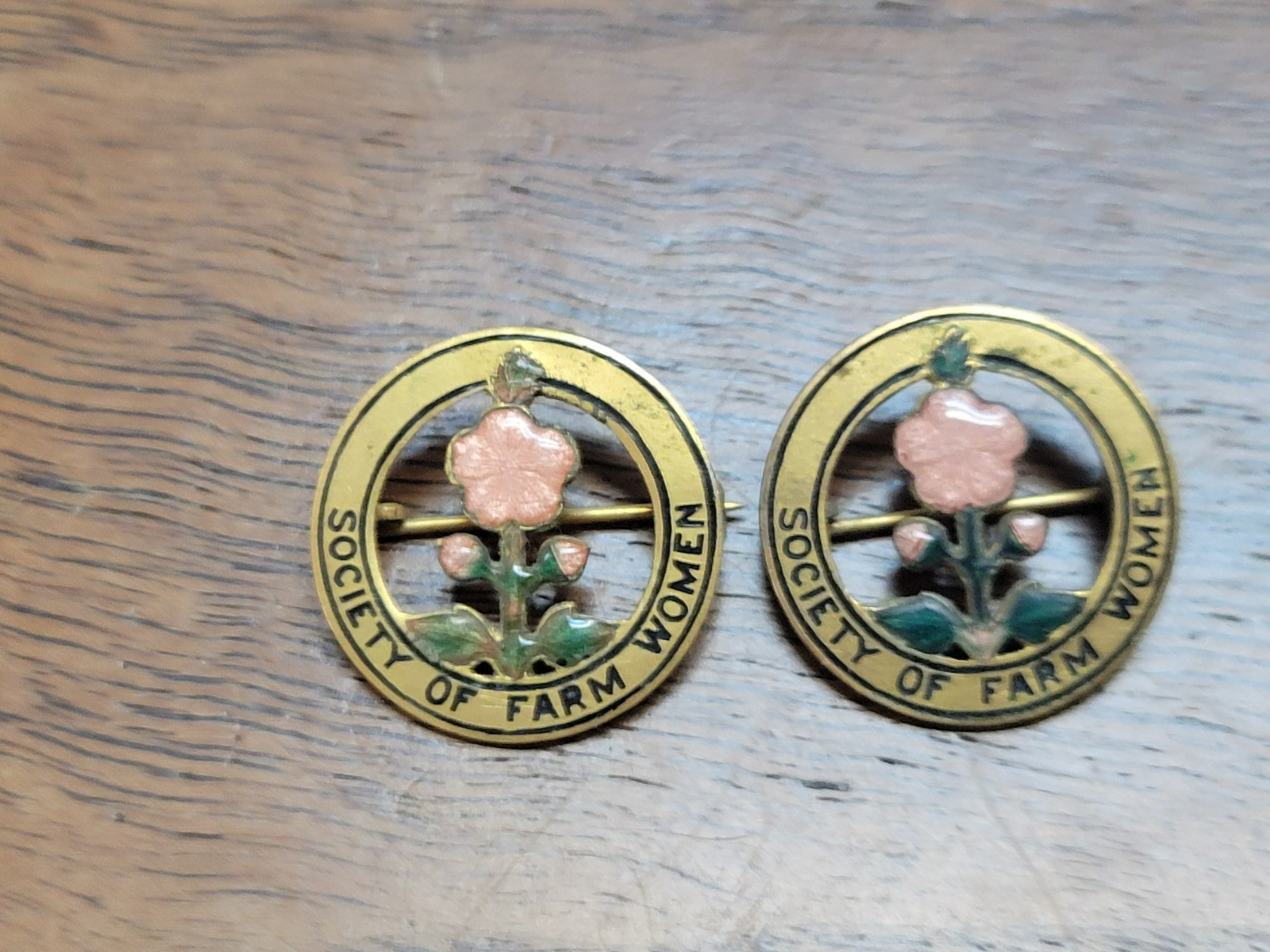 Vintage Society Of Farm Women – Pennsylvania Red Flowers Floral Pins x2