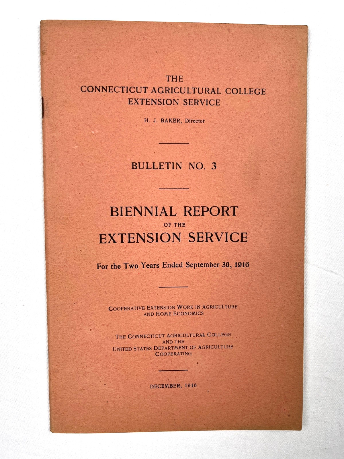 Lot of 3 Vintage USDA Bulletins 1915–1917 – Horse Feeding, Chinch Bug, Extension