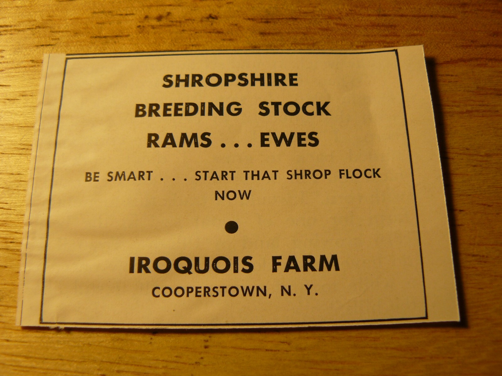 The Farm Quarterly -ADS- Autumn 1953 SHROPSHIRE BREEDING STOCK / Cooperstown, NY