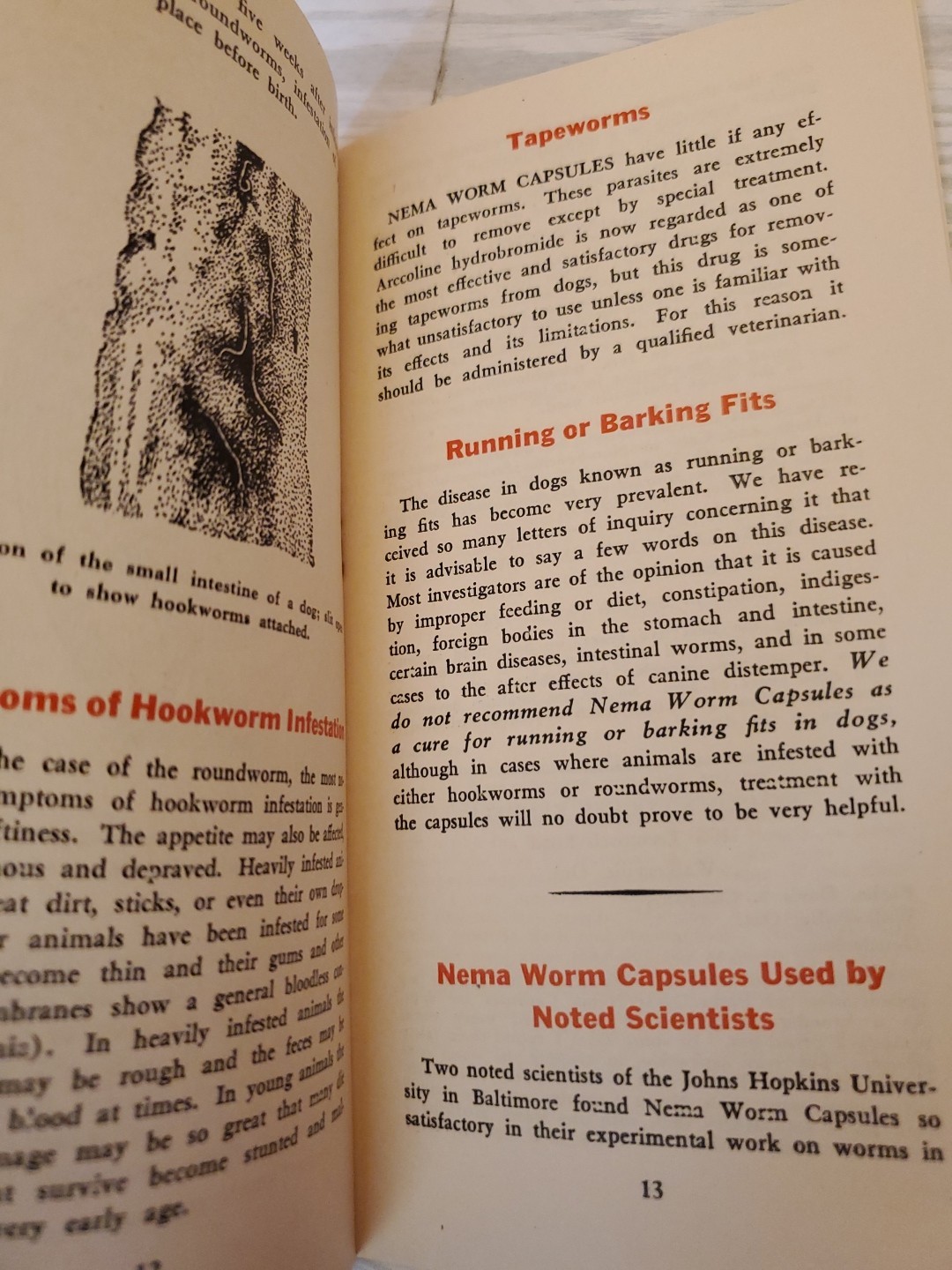 1927 NEMA Worm Capsules Prevention of Dog Diseases Parke Davis & Co. Brochure