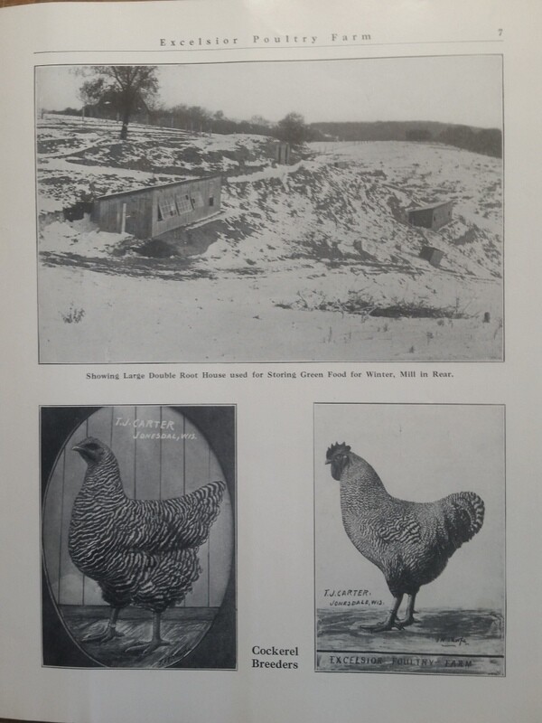 1911 Excelsior Poultry Farm T Carter Jonesdale WI Mineral Point Dodgeville Area