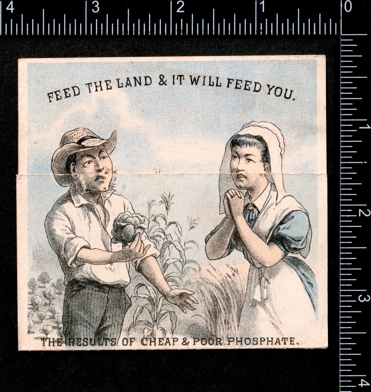 Fantasy Farm Buffalo Bone Fertilizer 1880 Calendar Victorian Trade Card SR.f.fBP