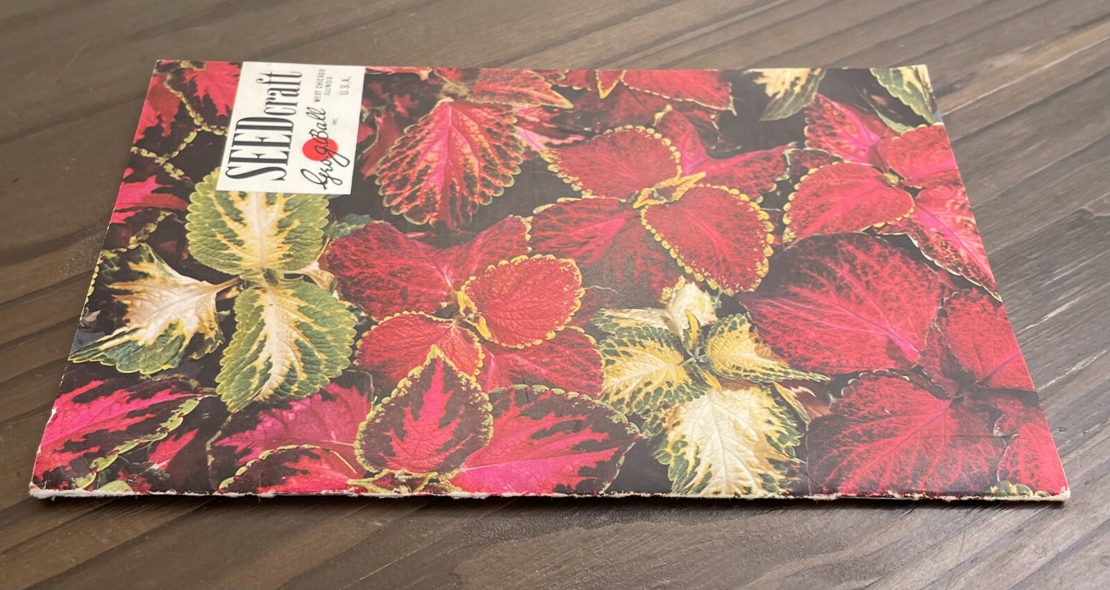 Seedcraft Vintage Garden Flower Catalog Rainbow Coleus Geo J Ball 1950s Booklet