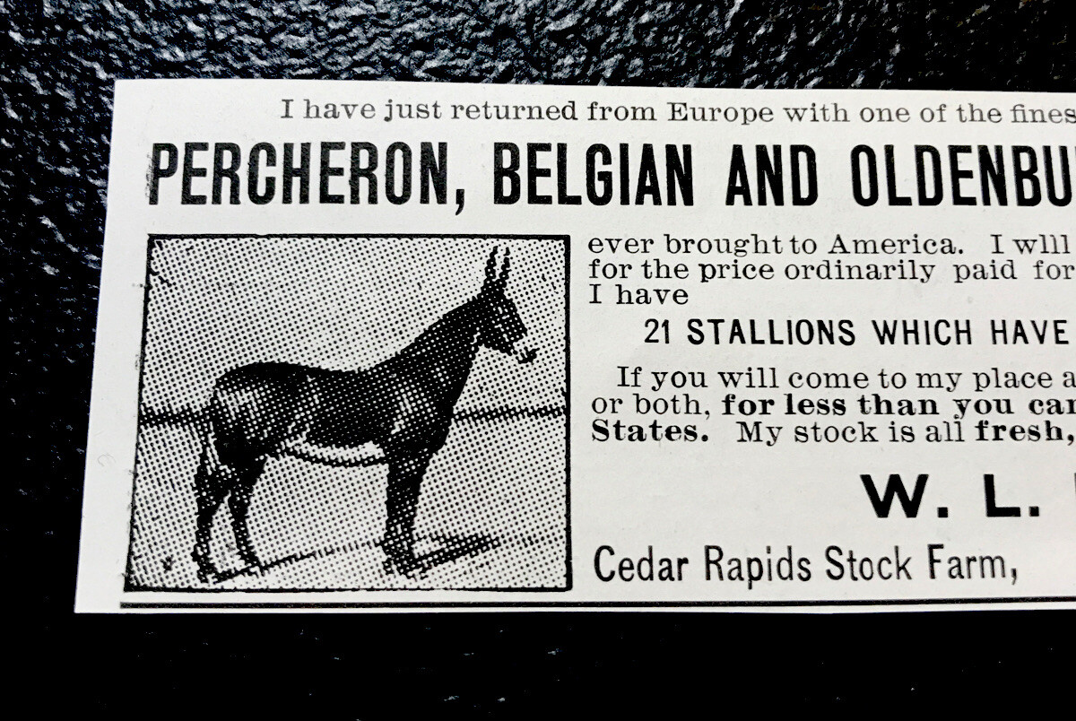1903 W.L. De Clow Horse Advertising – Cedar Rapids – Iowa – Farm