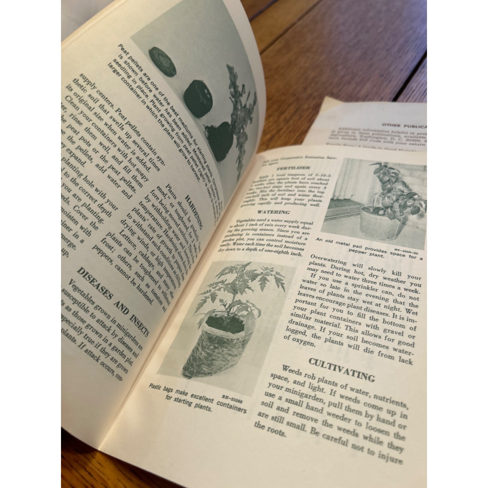 Vintage USDA Home & Garden Bulletins Minigardens & Beef And Veal Guides