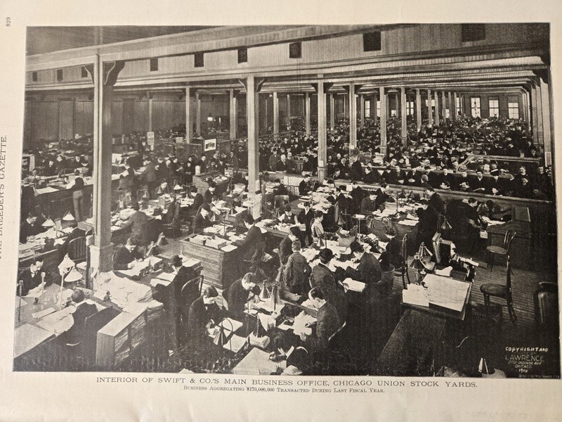 Nov 13, 1901 Breeder&rsquo;s Gazette Weekly Union Stock Yards Intl Exposition Chicago