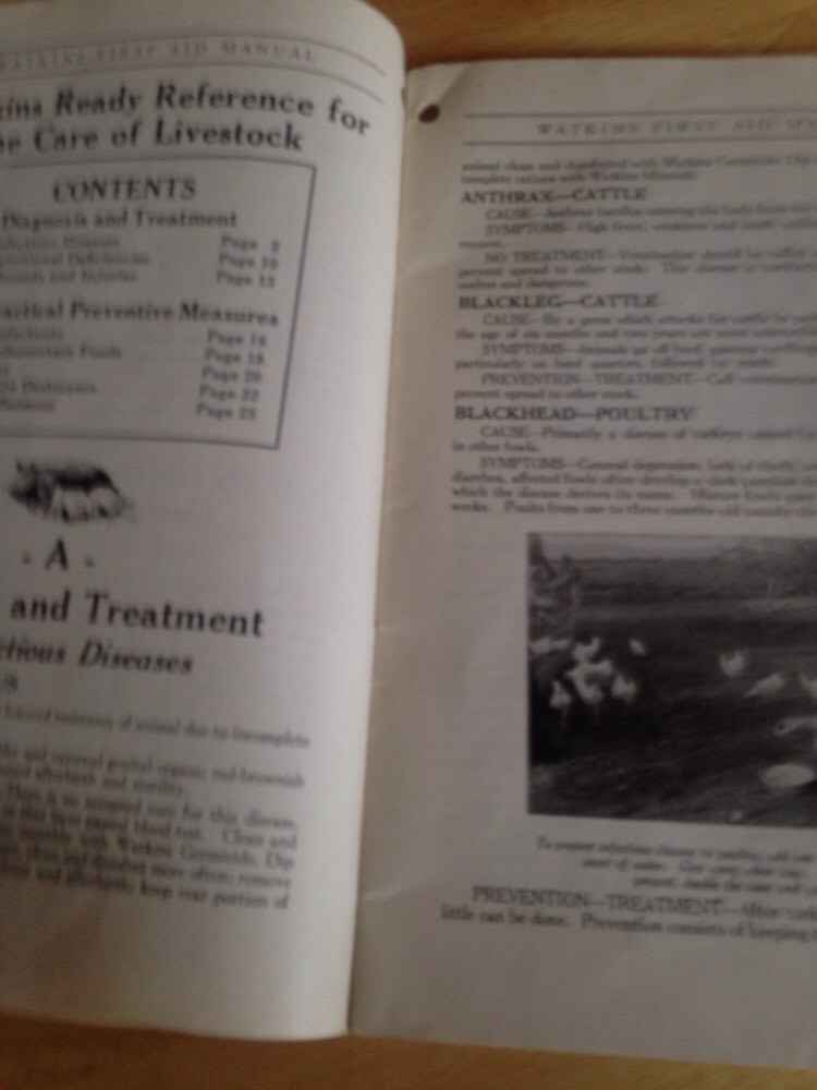 Vintage J Watkins First Aide Manual 1927 For Saving Livestock Losses