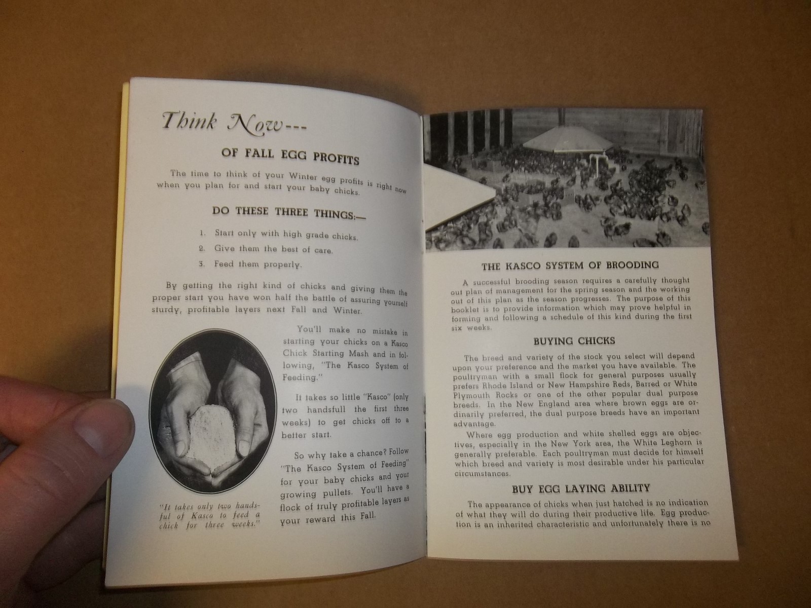 THE KASCO SYSTEM OF BROODING BOOKLET Toledo Ohio Waverly New York