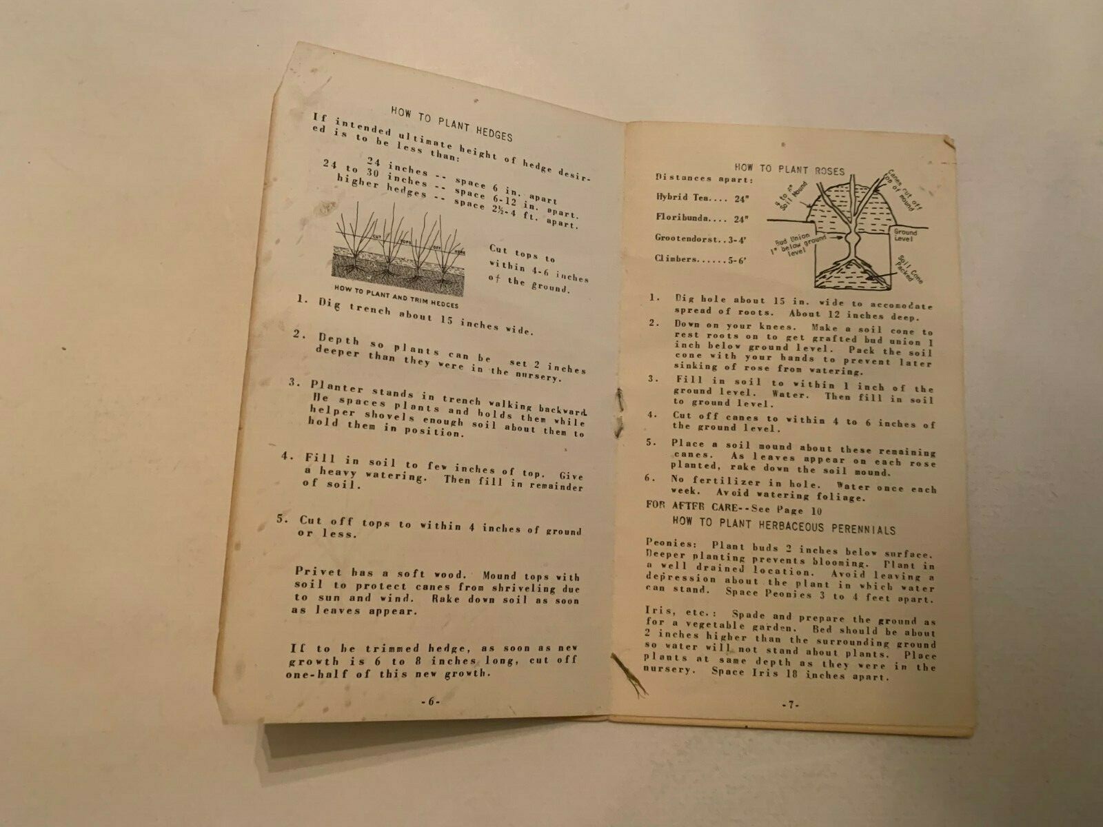 Vintage 1940-1950 Marshall Nurseries How To Plant Booklet