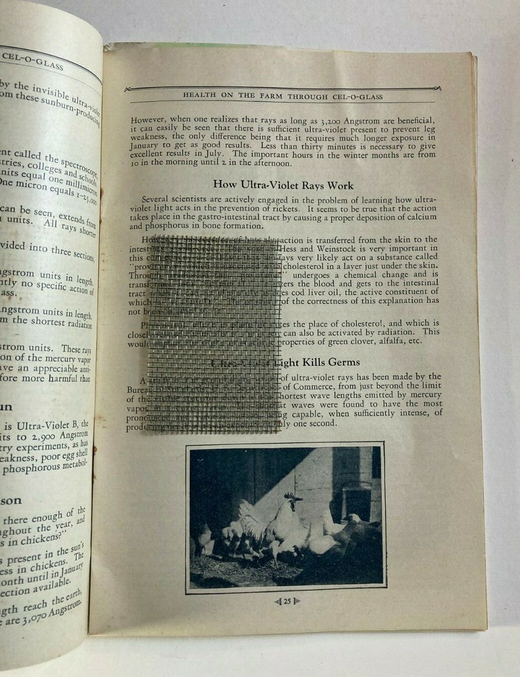 1928 Health On The Farm Through Cel-O-Glass Eggs Poultry Farming Ad Booklet