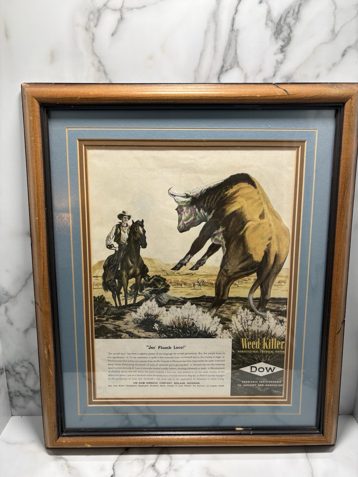 1946 Dow Chemicals Agriculture Division Weed Killer Midland Steer VTG Print Ad