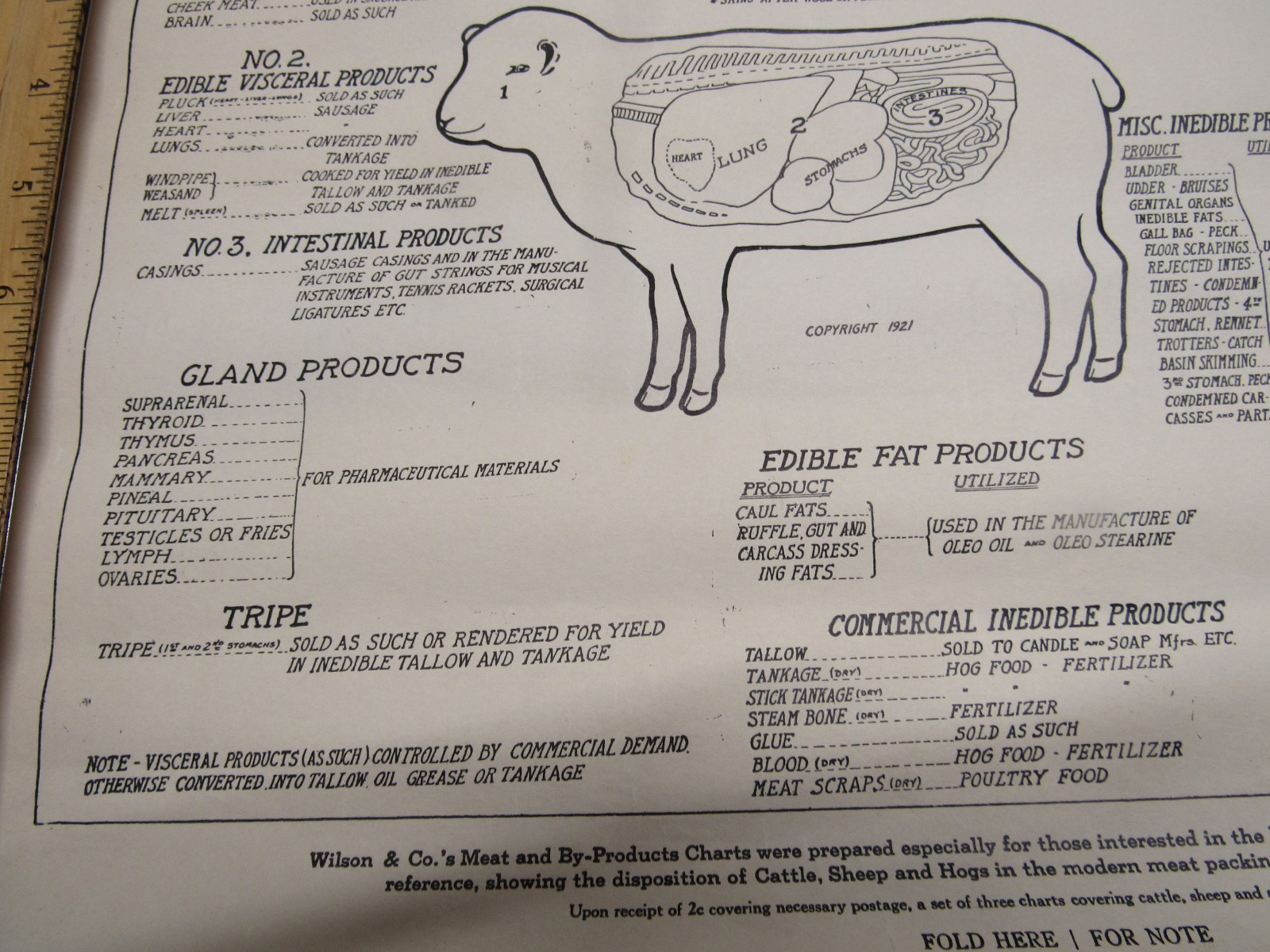 1921 WILSON SHEEP BYPRODUCT PORK CUTS CHICAGO BUTCHER PACKINGHOUSE POSTER VISUAL