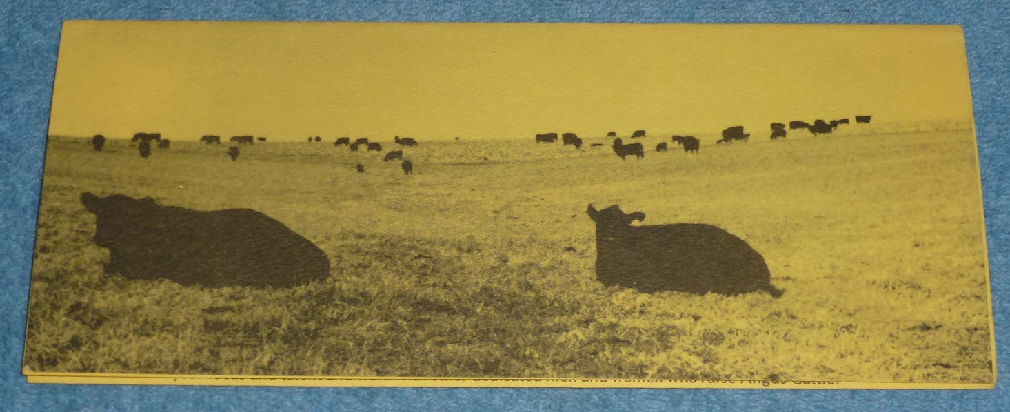 Vtg Wisconsin Angus Association Info Brochure Letter Membership Application Form