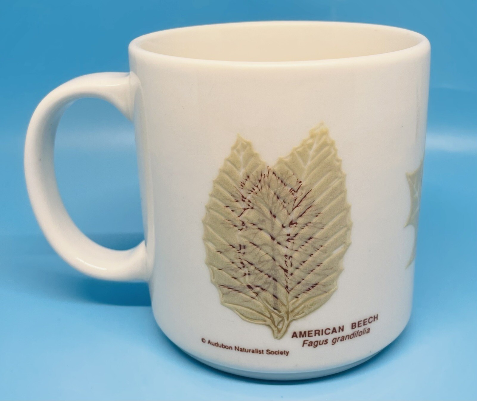 Audubon Naturalist Society Mug Raised Leaves Leaf Identification