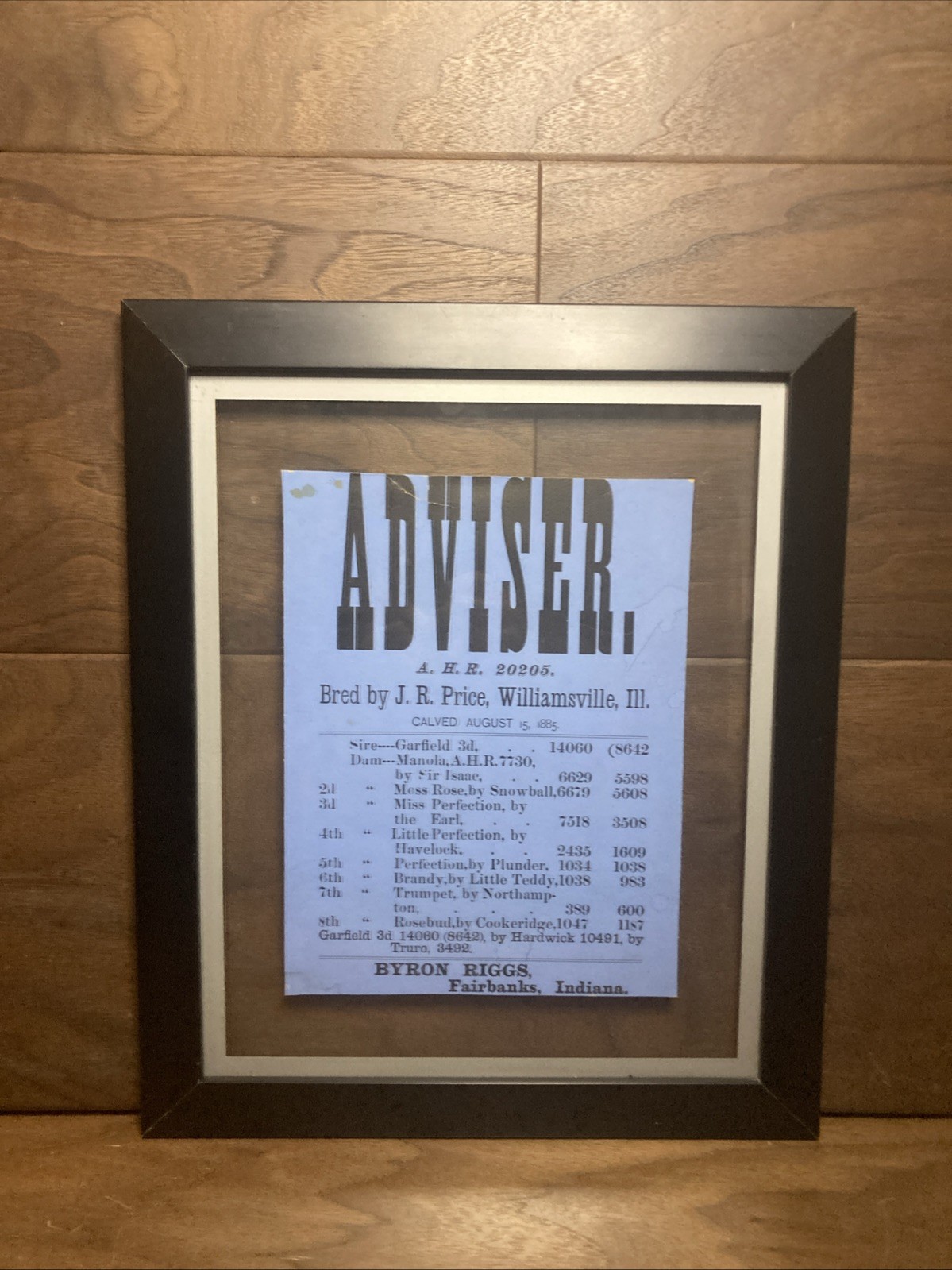 Framed 1885 Sale Bill Cattle Sale