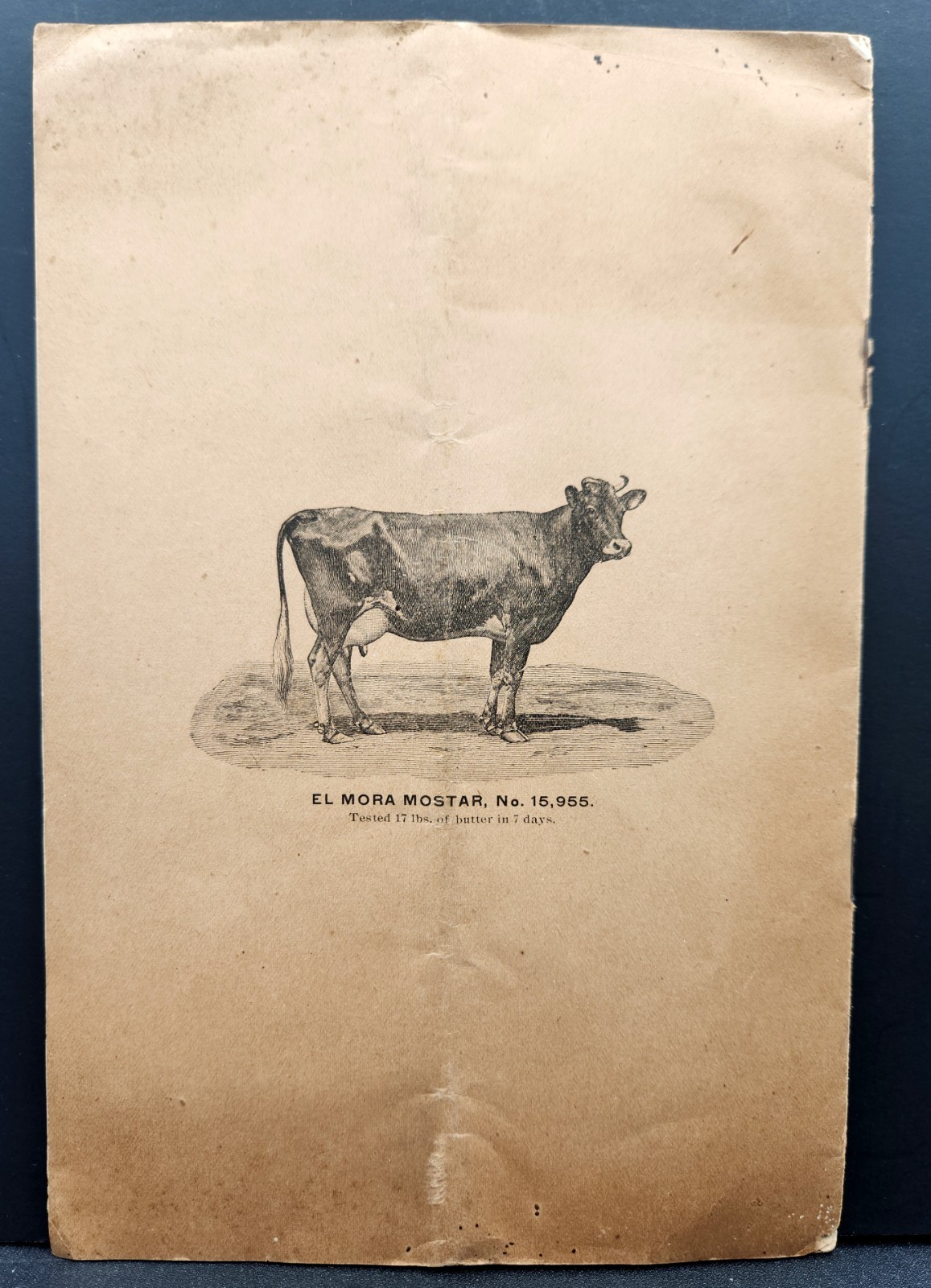 Clifton Farms Auction Catalogue Jersey Cattle & Chester Pigs Chester PA c.1900