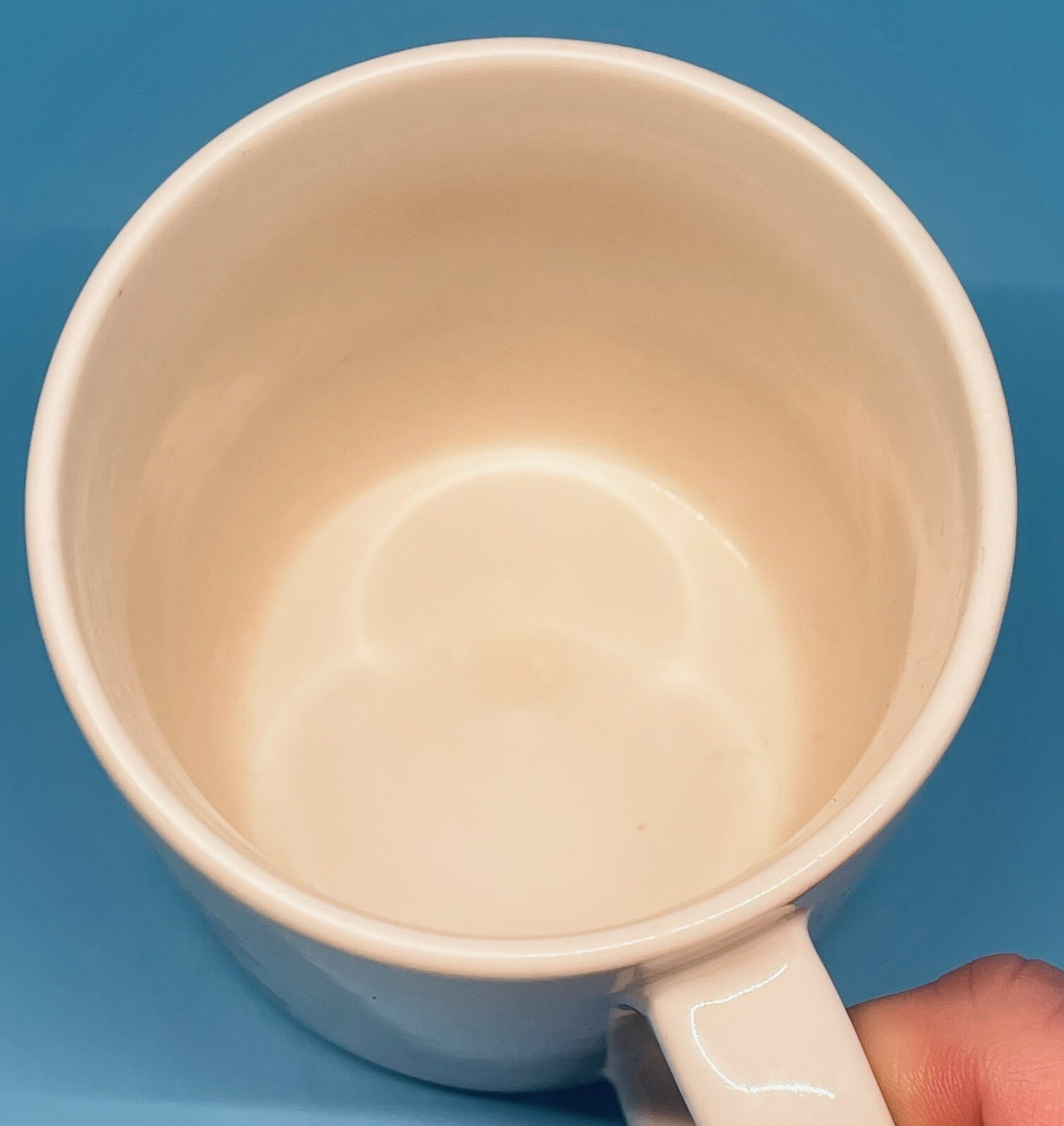 Audubon Naturalist Society Mug Raised Leaves Leaf Identification