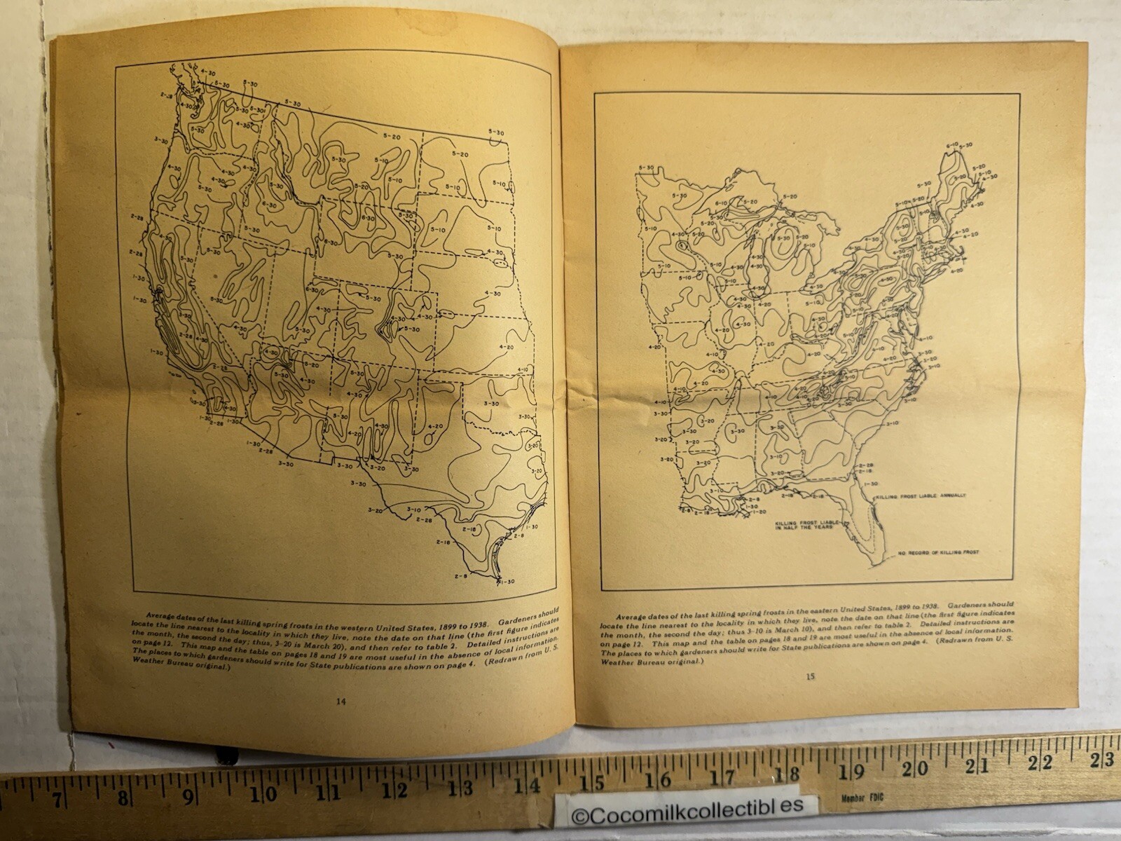 Vintage 1951 United States Department of Agriculture Growing Vegetables Brochure