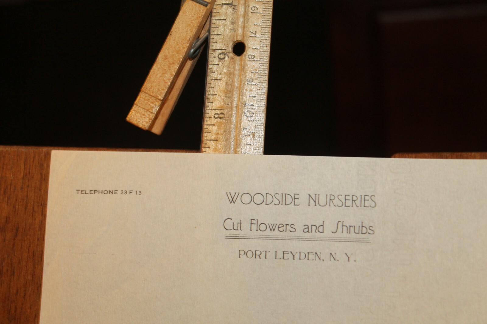 Antique Letterhead Woodside Nurseries Cut Flowers and Shrubs Port Leyden NY