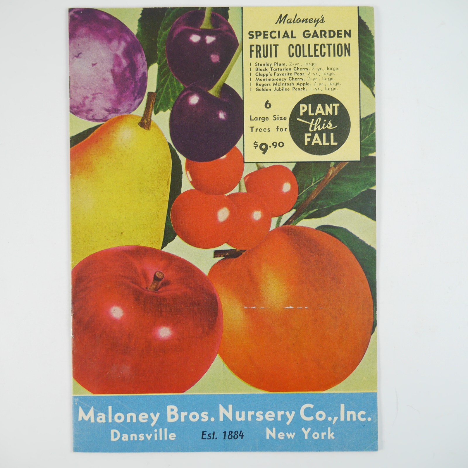 Vintage Maloney Bros Nursery Co Inc Catalog Dansville NY Orchard Tulips Print Ad