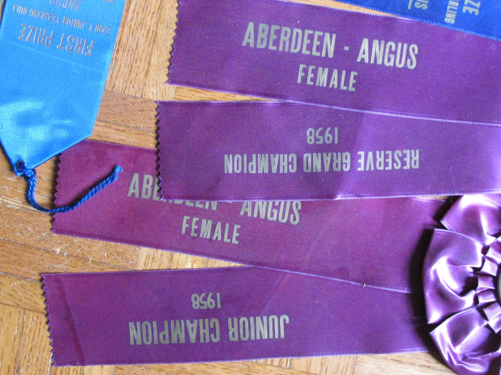 1958 62 FARM AWARD ANGUS BEEF CATTLE RIBBON EASTERN NATIONAL LIVESTOCK SHOW MD