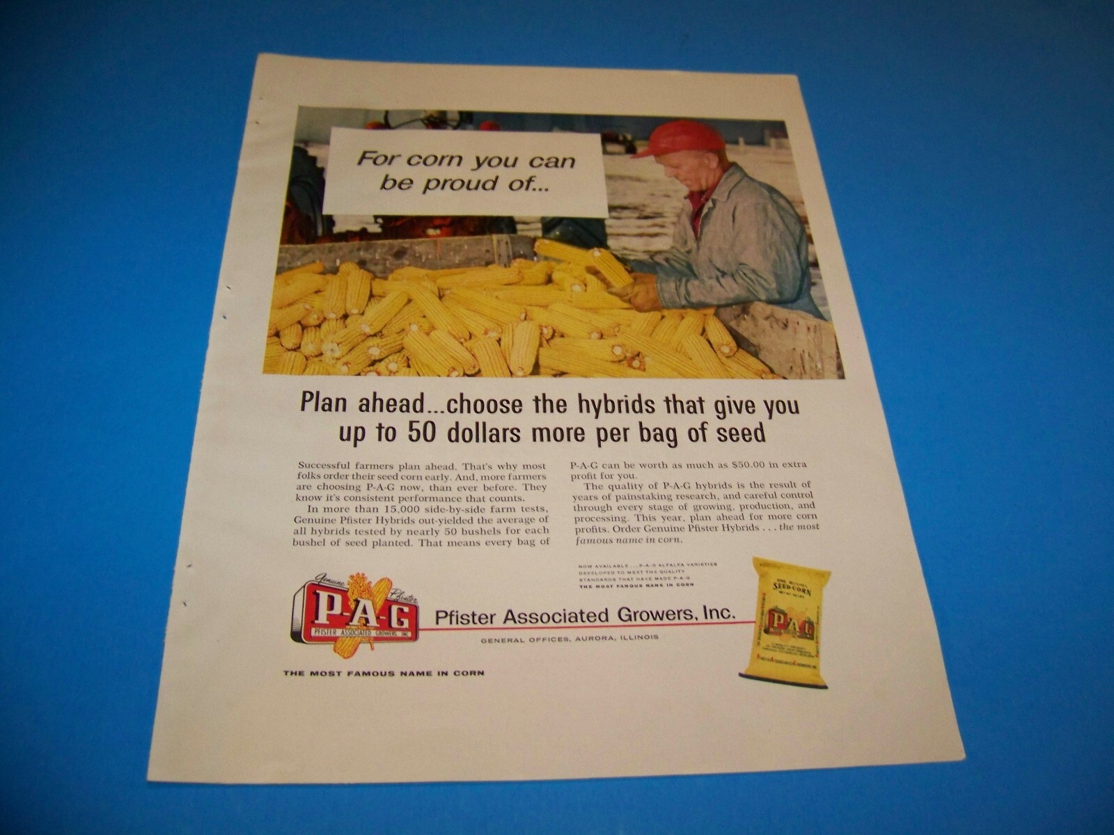 Pfister Seed Corn Agricultural Print Ad from Magazine Vintage 1960