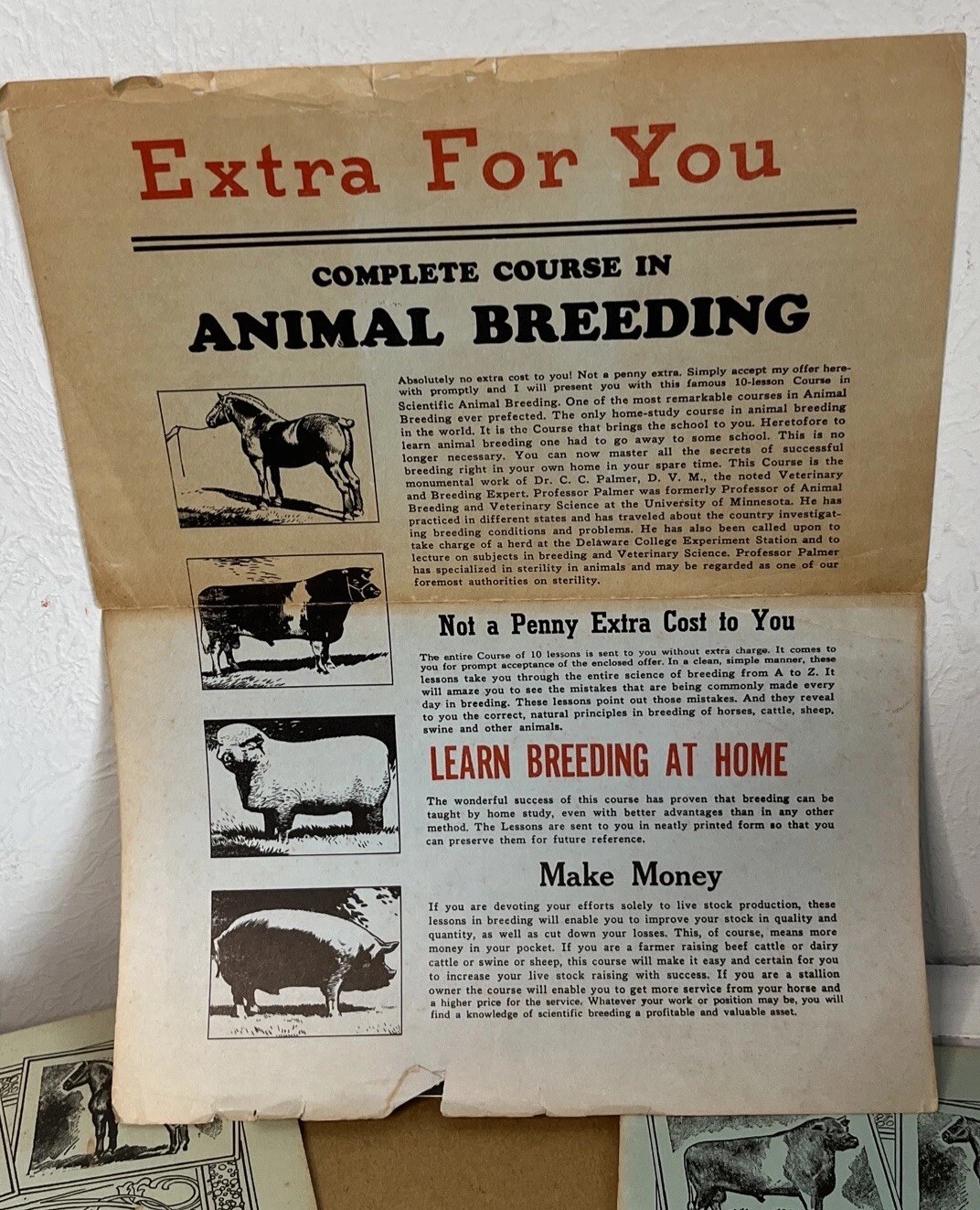 Vintage 1961 Beery School Horsemanship Animal Breeding Course – Partial Set