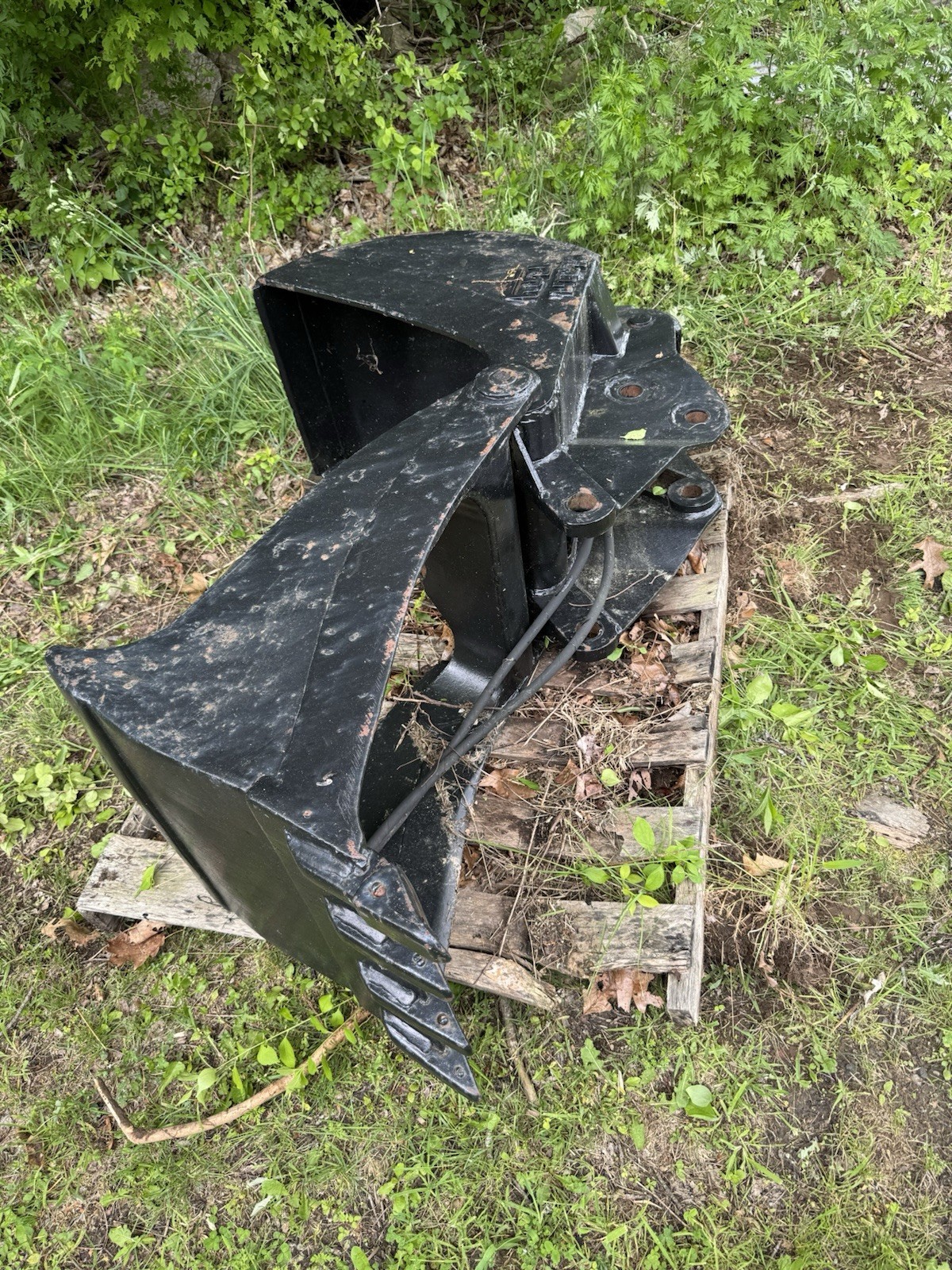 Wayne Roy Jaw Bucket