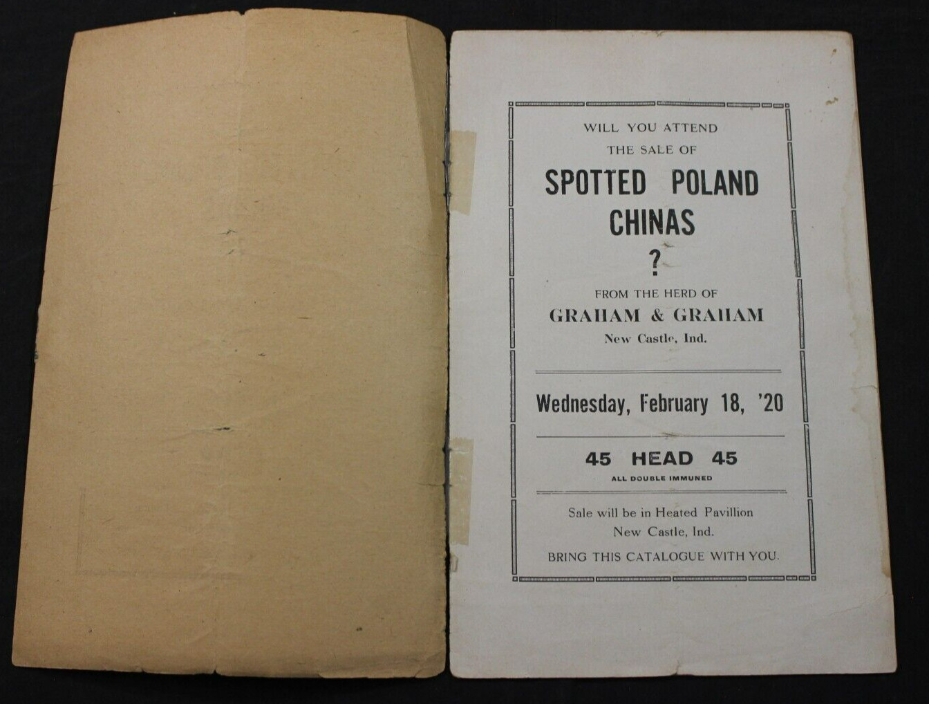 1920 SPOTTED POLAND CHINAS HOG PIG SALE CATALOG ~ NEW CASTLE, INDIANA