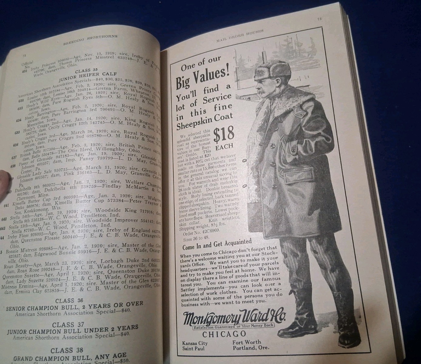 1920 International Livestock Exposition Catalog Book Chicago Union Stock Yards