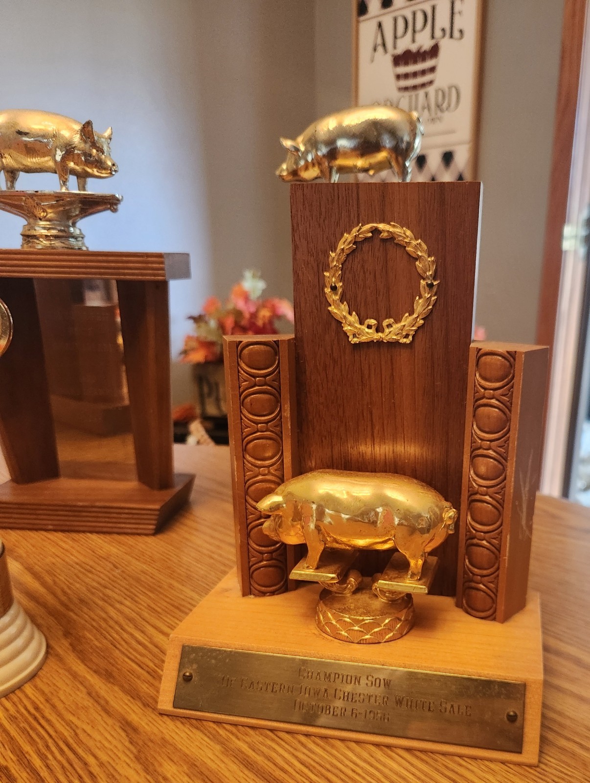 🐖1950s🔥RARE Pig Hog Trophy Champion Market Boar Sow CHESTER WHITES Iowa Sign